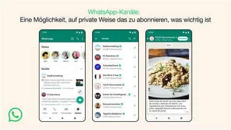 WhatsApp图片总自动保存？3步关闭+清理妙招